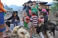 48 - Akha tribe